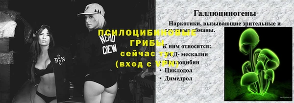 PSILOCYBIN Богородицк