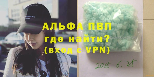 PSILOCYBIN Богородицк