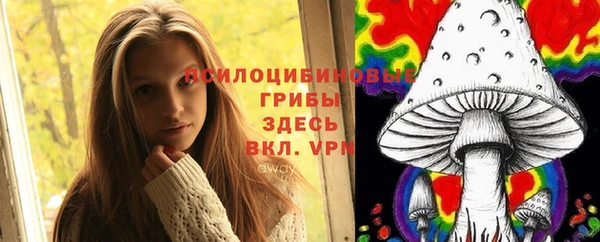 PSILOCYBIN Богородицк