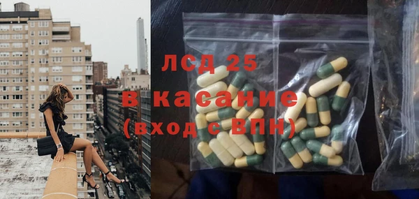 PSILOCYBIN Богородицк