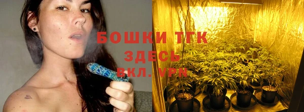 мескалин Богданович