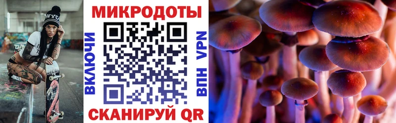 Псилоцибиновые грибы Psilocybine cubensis  Купить где  Великий Устюг 